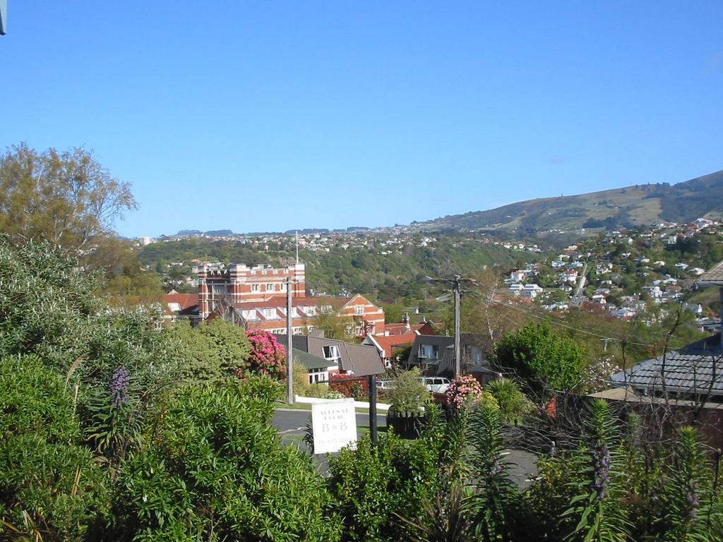 Arden Street House Bed & Breakfast Dunedin Exterior photo